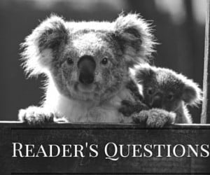 Reader's Questions